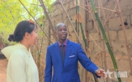 In search of green bamboo - the final piece of Vietnamese Tet in Central Africa